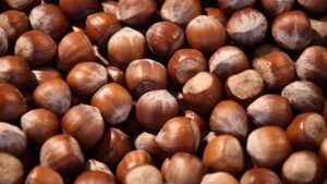 Hazelnuts