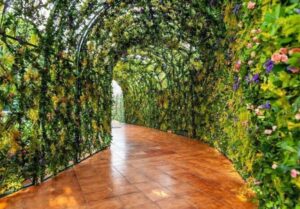 Go Green With Tunnel Decor