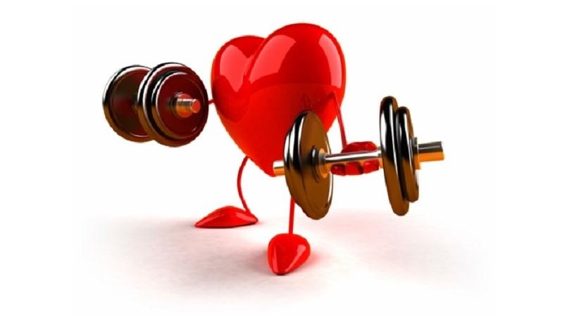 improves cardiovascular health