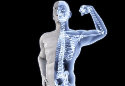 Strengthens bones