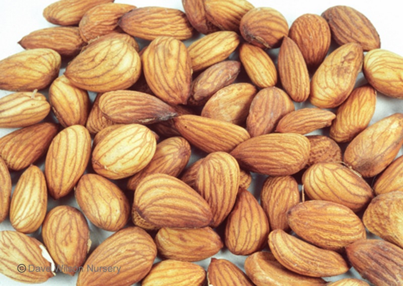 almonds